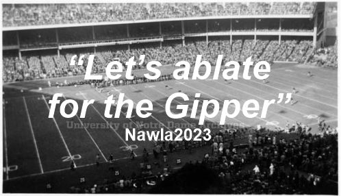 Please join us at our NAWLA2023 conference here at the University of Notre Dame, between June 5-9, for stimulating and engaging workshops and discussions led by world leaders in the field!
Early registration deadline: MARCH 1st
More info at: nawla2023.nd.edu