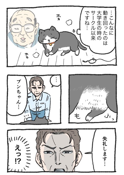 やじま@ねこおじ5巻発売中(@yajima_en) さんのマンガ一覧