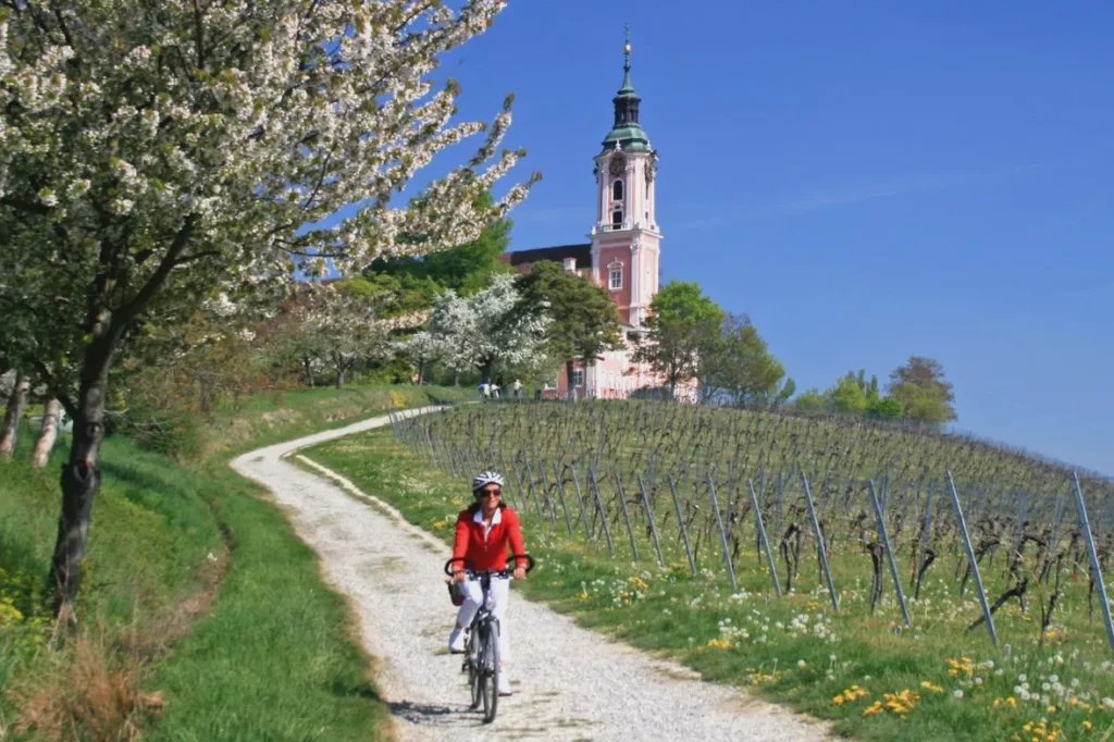 WishingWellOut's tweet photo. Springtime is around the corner and the bicycles are about to hit the roads and trails of the great outdoors. Let’s be ready when it arrives!
#Cycling #CyclingInSpring #SpringCycling #SpringtimeCycling #SpringBiking #SpringtimeBiking https://t.co/dG84V4ElrE
