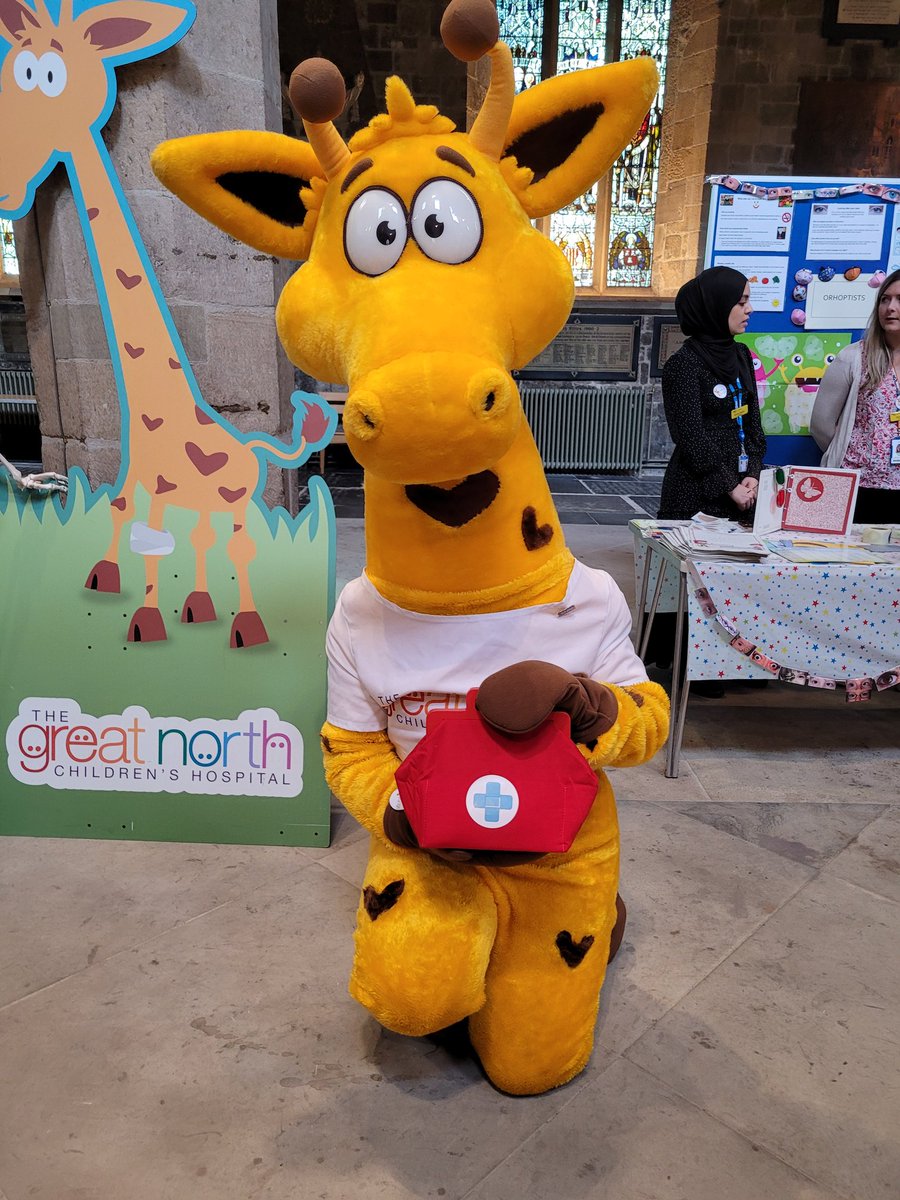 Fudge is all prepared with a Medical bag