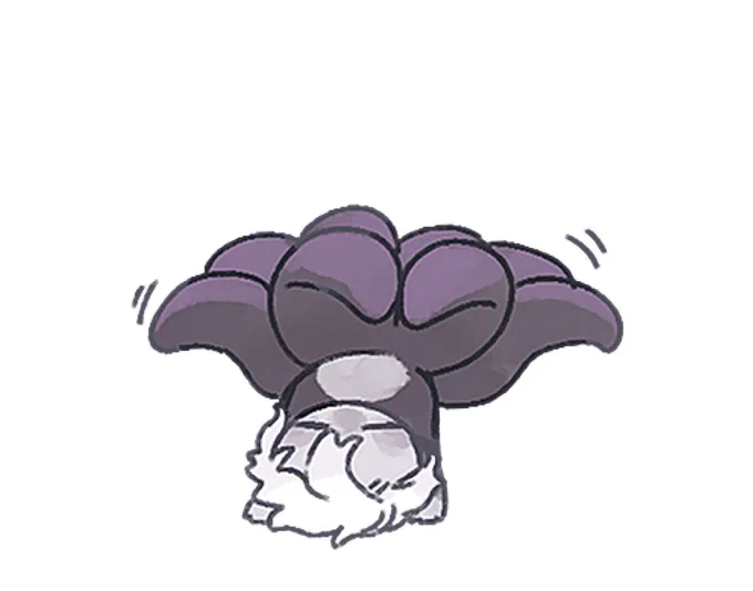 イソギンチャク〜 