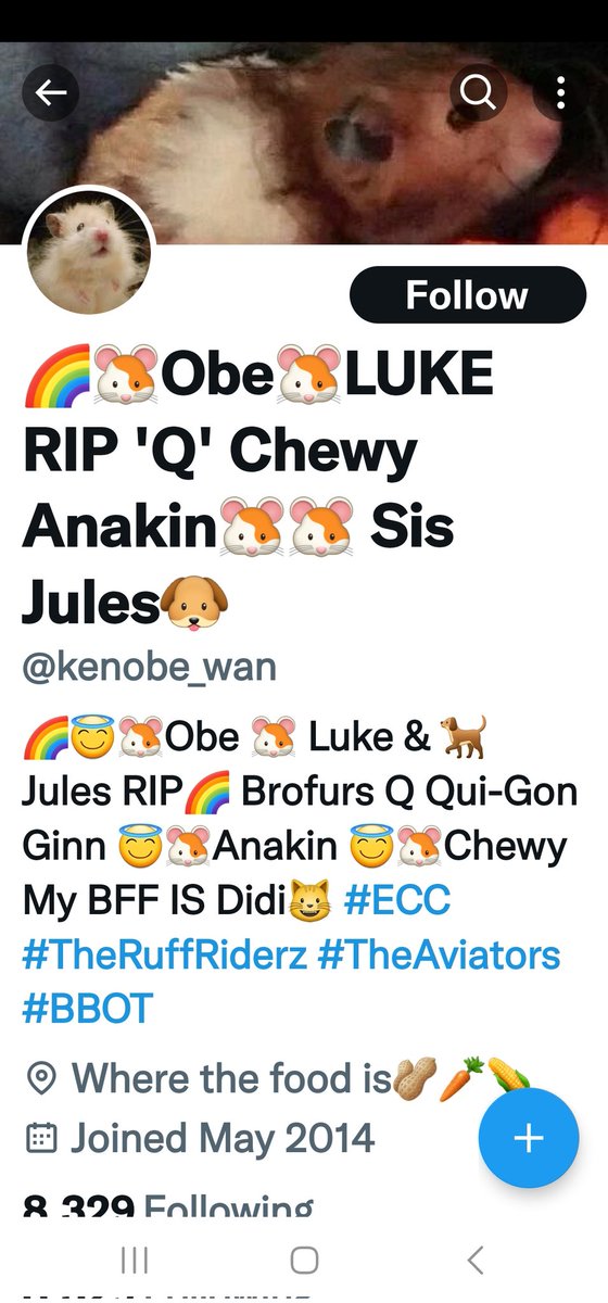 kenobe_w's tweet photo. #BEWARE I was #hacked and he got my Twitter, FB, IG, PayPal and bank account! He TOOK OVER MY OLD TWITTER ACCOUNT Now he's trying to hack my 8,500 followers! REPORT &amp; BLOCK HIM! Please RT!🐹🤬☹️ https://t.co/82hs483oSE