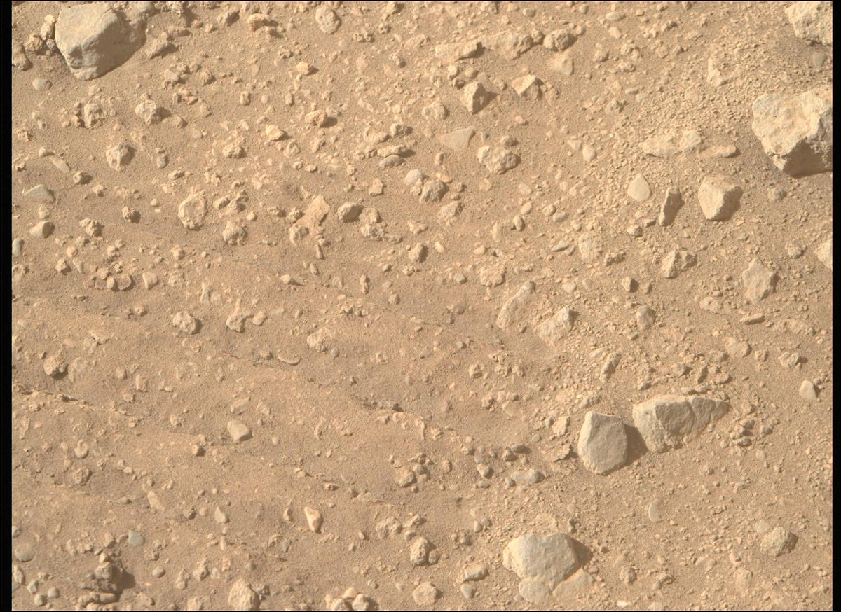 MarsMissionImgs's tweet photo. #PerseveranceRover image taken on #Sol700 at 3:33:26.818 PM with #MastcamZ #Mars #NASA #Space https://t.co/r2iBwX2WvT