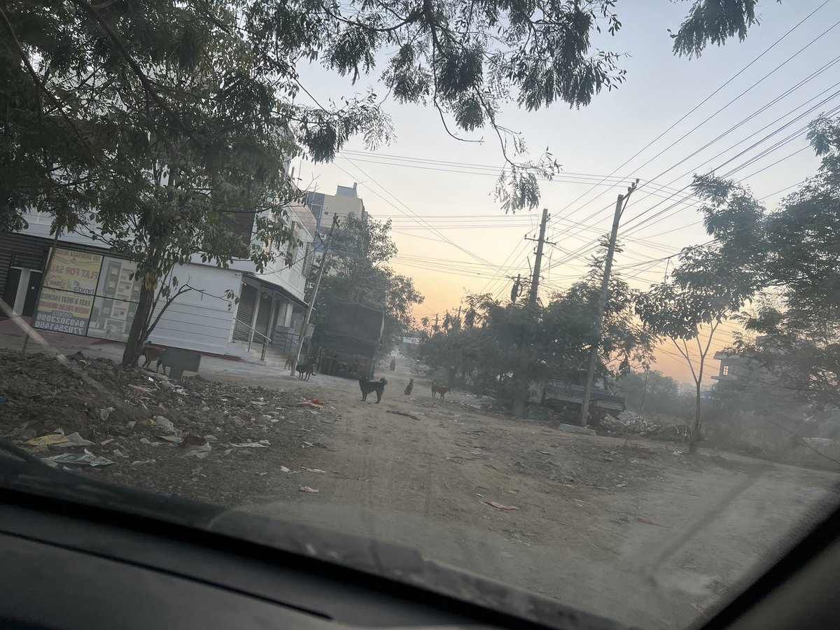 bharchakri's tweet photo. @PanduThummala @AmeenpurM @KTRBRS @BRSHarish sir, plan something to fix these street dogs, just yesterday one baby lost life in Hyderabad, location beeramguda, Green Fields colony, these are just few everyday we can see more than 20 dogs running in colony https://t.co/blEqxEsFJe