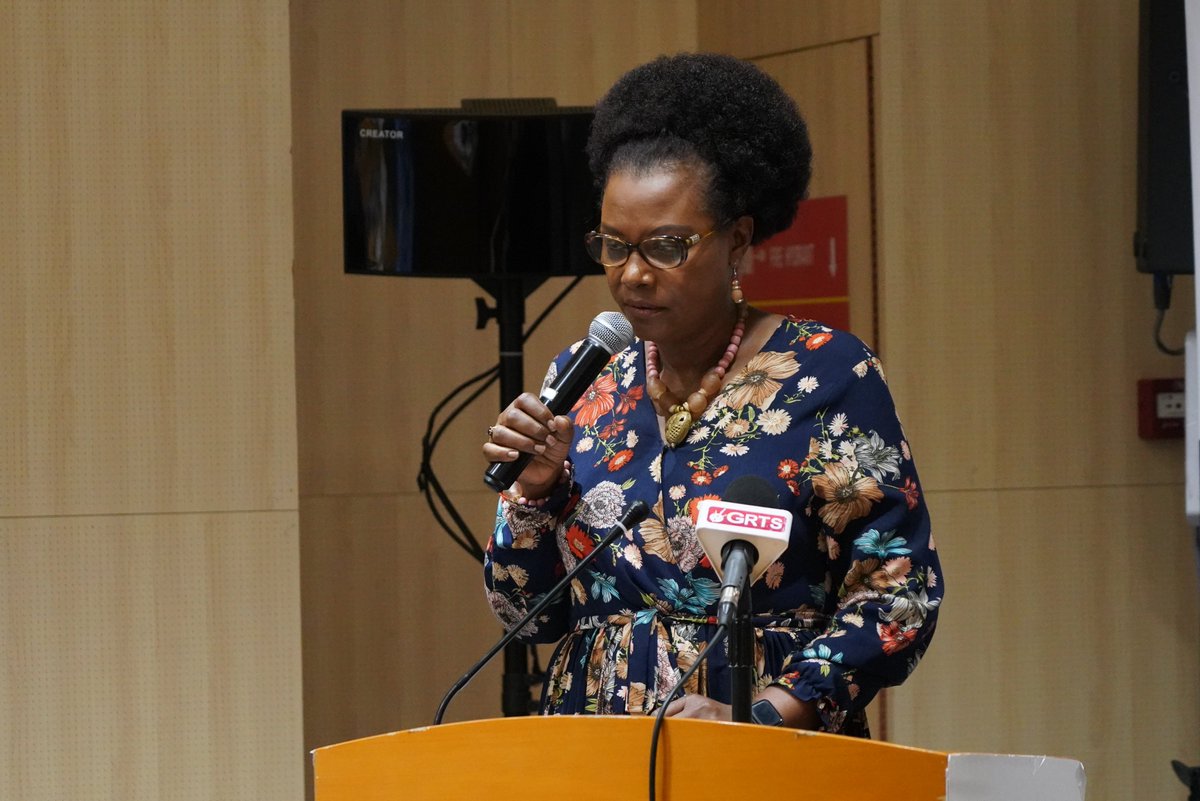 ITC Gambia on Twitter: "RT @UNGambia: "The workshop will set the stage