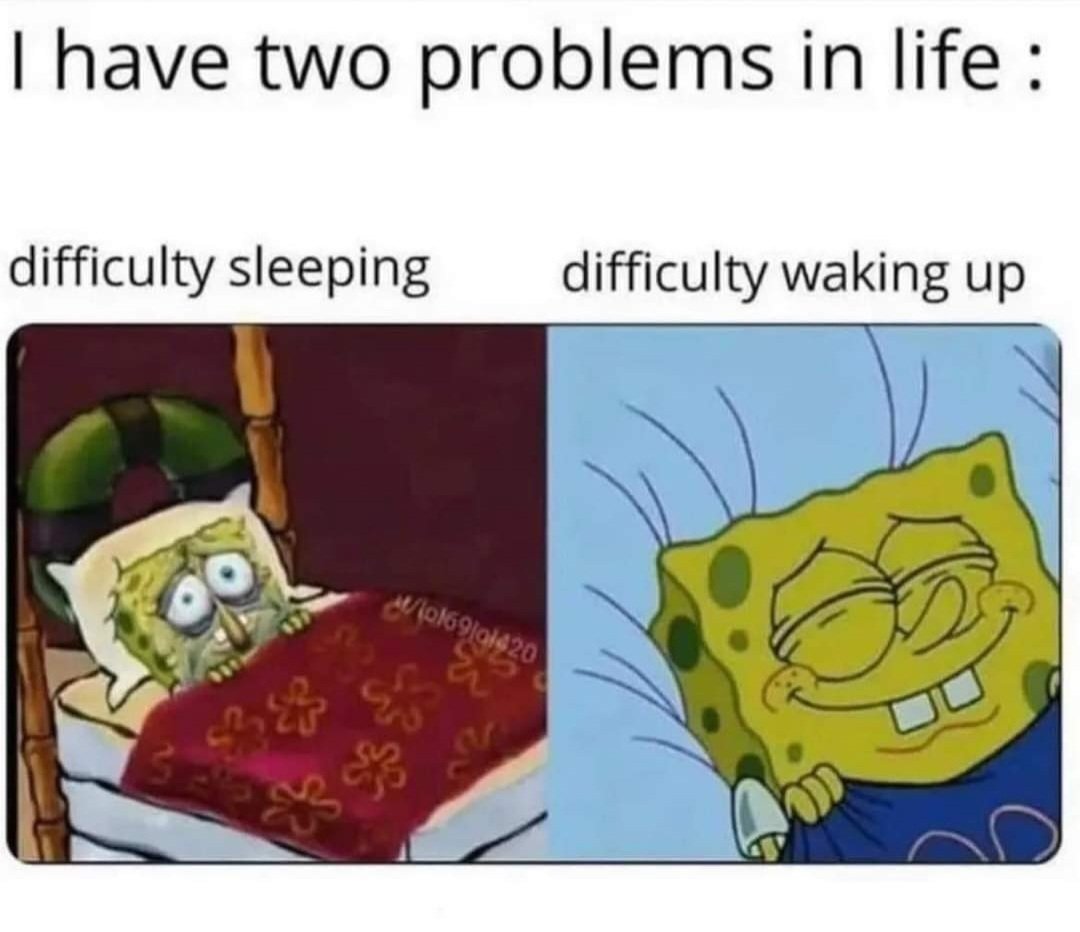 THE IVES Sleep & Relaxation tweet media