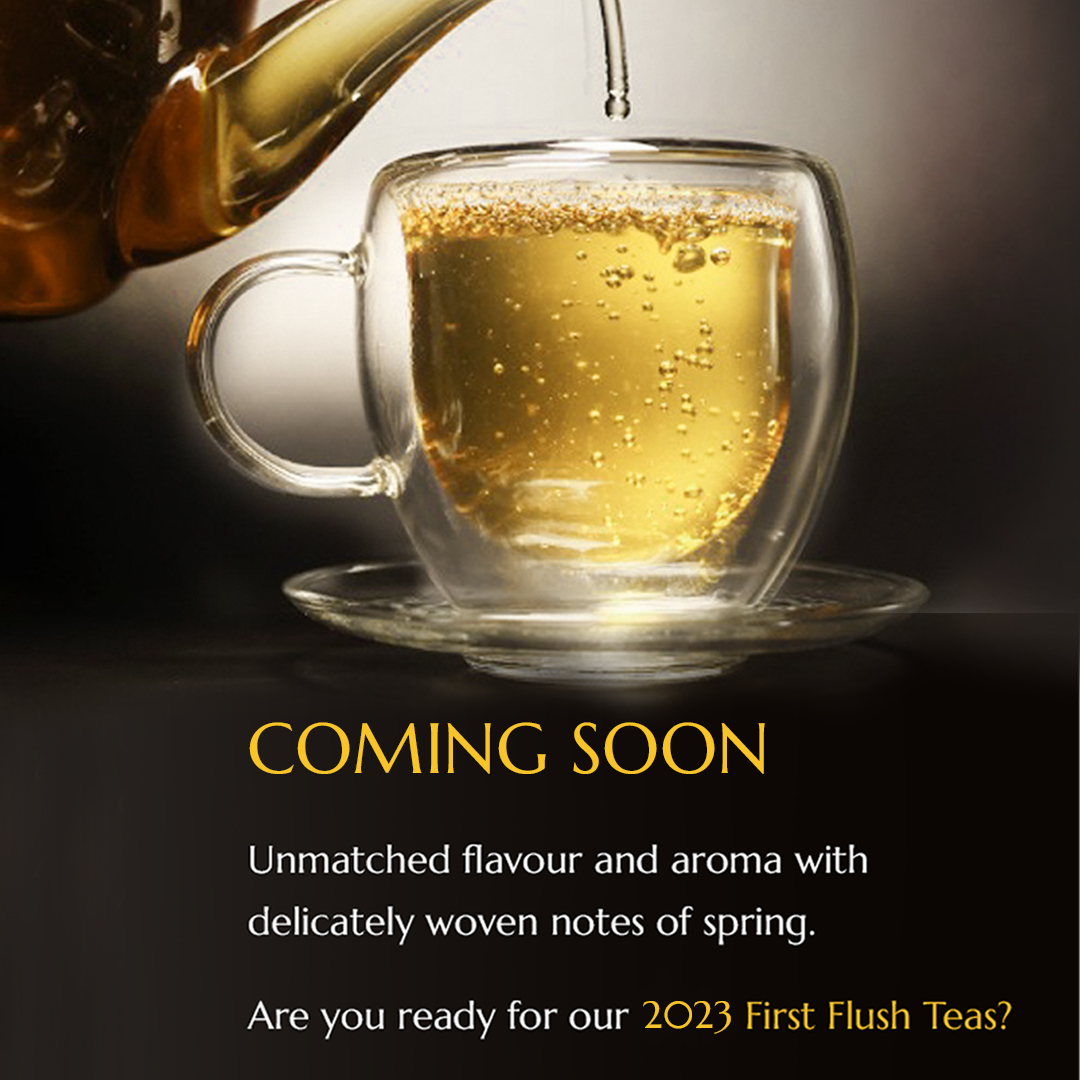 OkaytiTea's tweet photo. Get ready to nourish your soul with a sip of finest tea. ☕
Okayti First Flush Tea is Coming Soon 😍🥳
Pre Order Now to savour the finest tea in the world. 🍃🛒
https://t.co/crZNVXrTZy
#firstflushtea #organic #organictea #Bestseller #sharethelove #tealover #darjeelingtea https://t.co/WltvNfxI3a