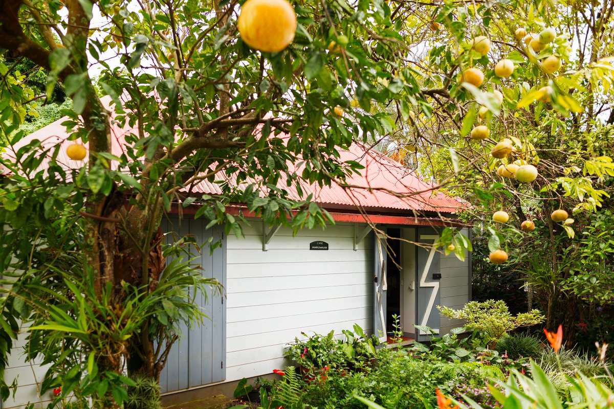 ReunionTourisme's tweet image. 💚VOTEZ POUR L&apos;ENTRE-DEUX !🗳

Le joli petit village du sud de La Réunion a été sélectionné pour être &quot;Le village préféré des Français 2023&quot;.  

Elisez-le ici ➡francetelevisions.fr/et-vous/partic…

#LaReunion @france3 @bernstephane
