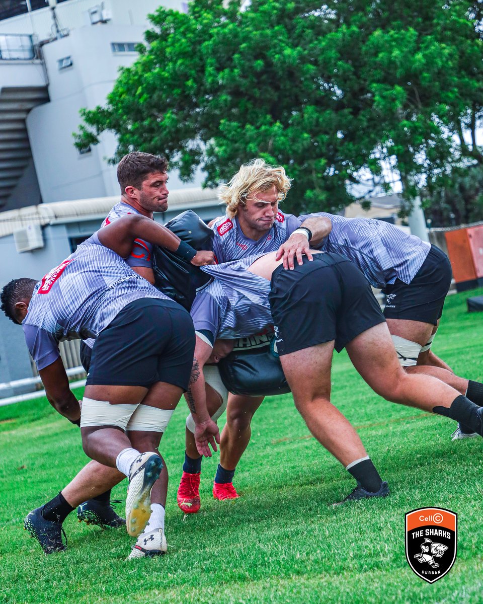 Let's work 💪

#FearTheFin