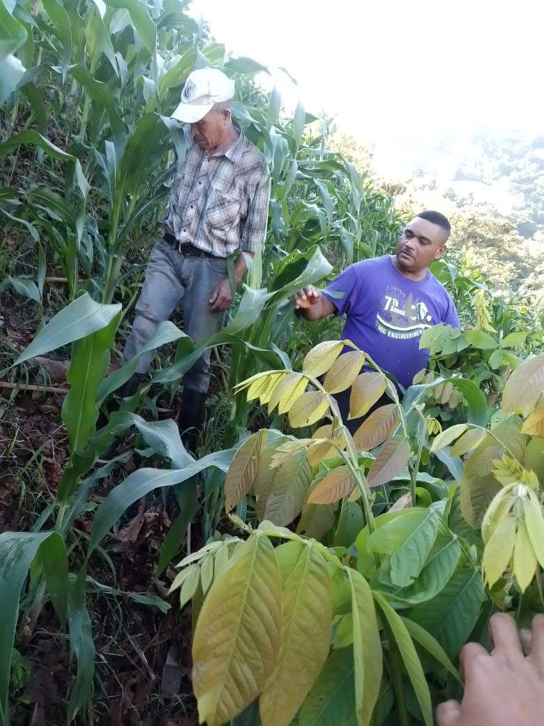 The Inga Foundation tweet media