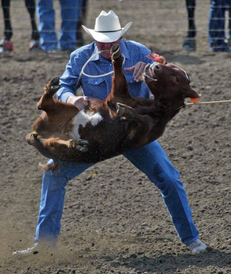 OpRodeo_'s tweet photo. Are you a real man?
Do you love beating the shit out of baby animals in front of other men?
Do you dream about kicking a calf’s ass in front of an audience?
If you answered ‘yes’, then #rodeo is for YOU

Only losers abuse animals!

Rodeo is #AnimalCruelty
#OpRodeo #AnimalCruelty https://t.co/fyHcO2czJF