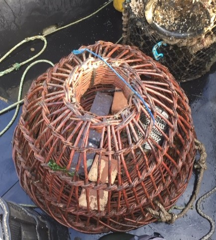Are you a fisher, fishmonger, wholesaler, or restaurant that buys or sells lobsters🦞in Wales/UK? Keep your eyes peeled for @sos_bangor_uni  questionnaire on economic feasibility of using traditional, biodegradable, low-carbon willow pots
