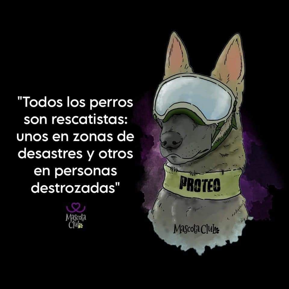 detoditoconliz's tweet photo. ❤❤❤ https://t.co/hBehhGqe1g