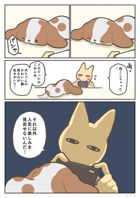 急に重くなる飼い主 