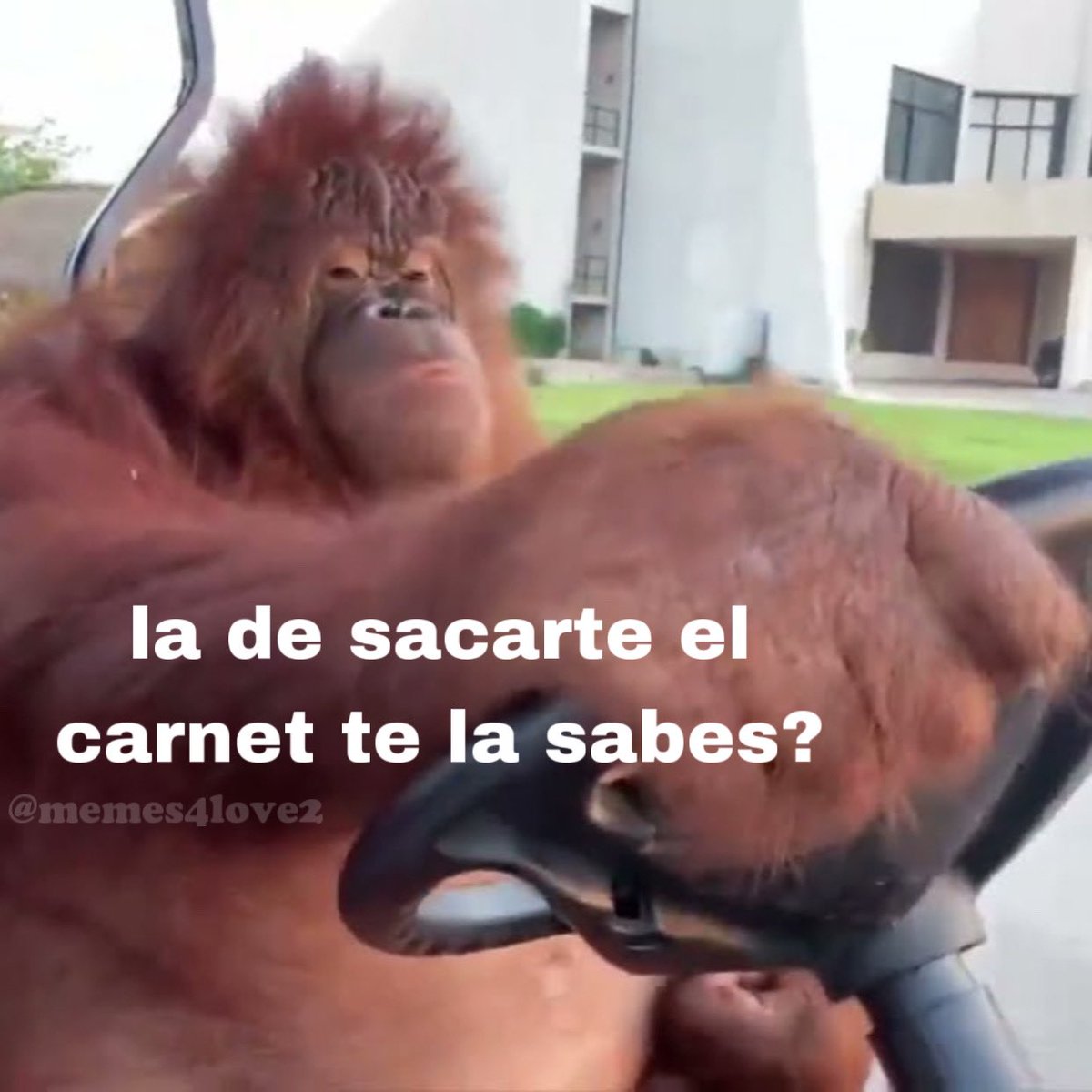 𝕷𝖔𝖛𝖎𝖓𝖌 𝕸𝖊𝖒𝖊𝖘 🥕 tweet media