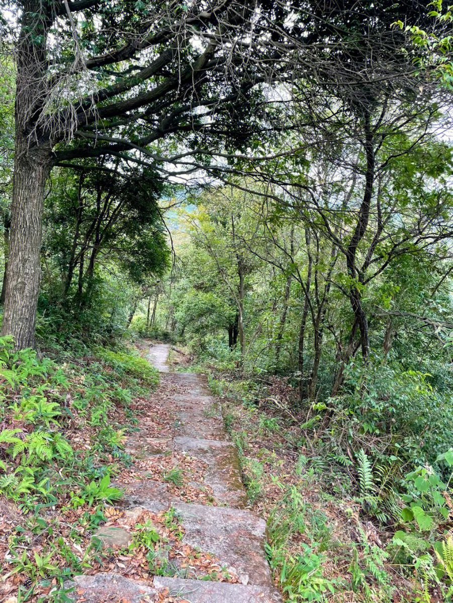 hiking