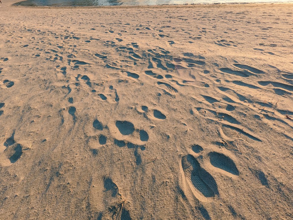 「写真に全然うつってくれないんですが影とかもなんだか全部青く見えるの綺麗でめちゃく」|相模のイラスト