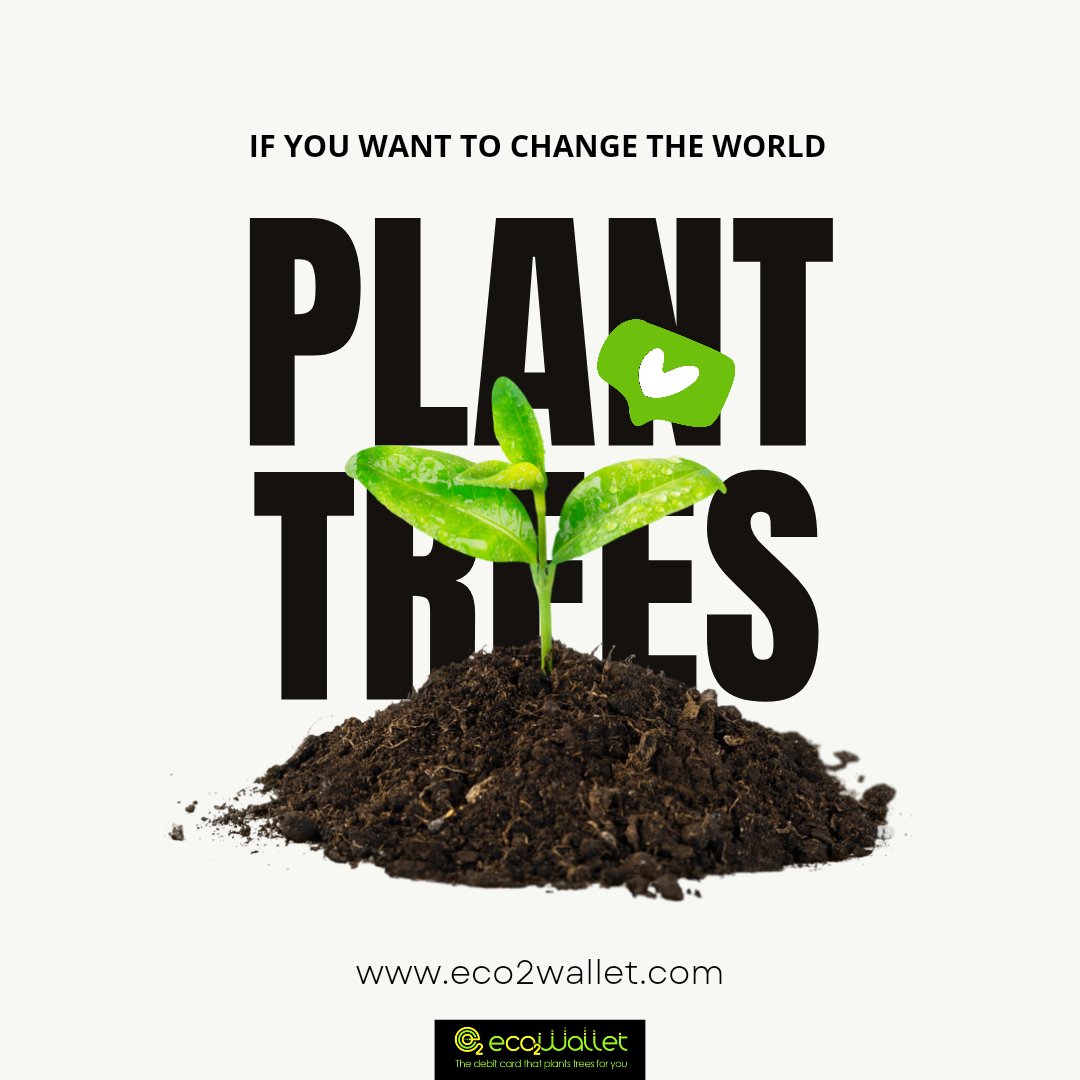 eco2wallet's tweet photo. Plant trees by paying with eco2wallet green debit card 💳 

#fintech #sustainability #sustainablefinance #sustainablefintech #greenfinance #greenfintech #femalefintech #femalefounder #startup #trees #thinkgreen #entrepreneurship #ESG #esginvesting #VentureCapital #followus https://t.co/aZTnXab3s0