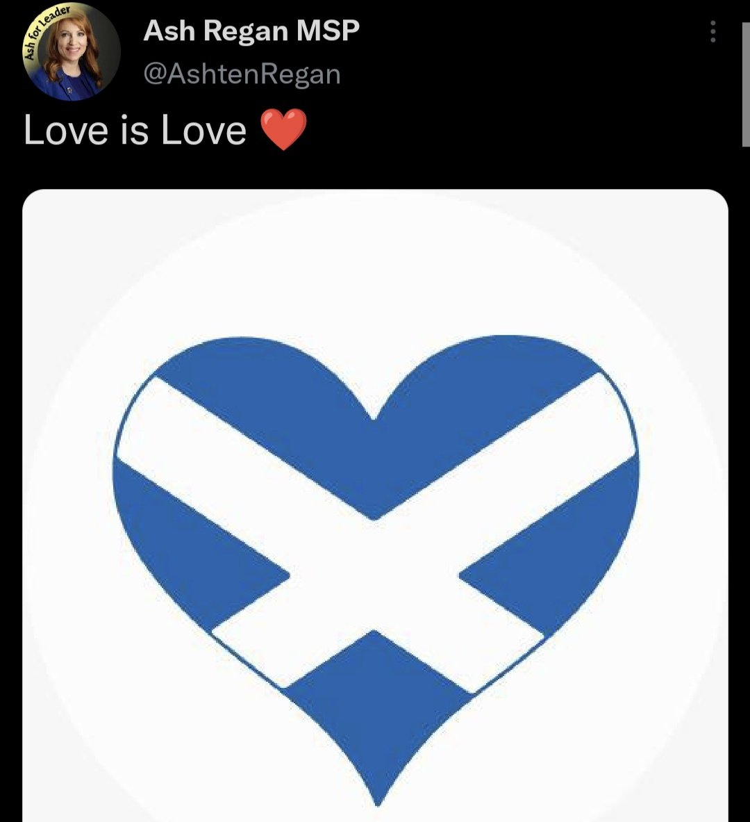 Aidan Comerford on Twitter "RT pickle_bee These statements from Ash