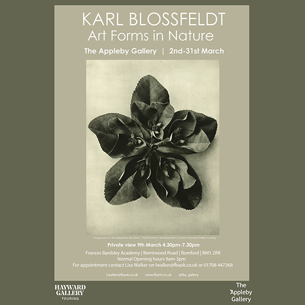 Karl Blossfeldt | Art Forms in Nature -Showing at the Appleby Gallery 2nd-31st March | Private View 9th March 4.30-7.30pm  mailchi.mp/6e516332d61c/k…