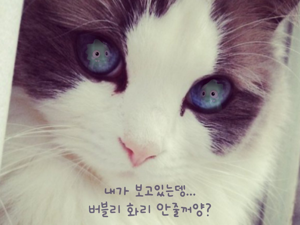seheda2008's tweet photo. 버블리 디스코드에서 오늘 저녁 9시반에 퀴즈 진행!!
많관부~
@ProjectBubbly
#nft #bubblyproject #Bubbly #bnf
#버블리 #2차민팅 #projectbubbly https://t.co/TBO6qx0hR3
