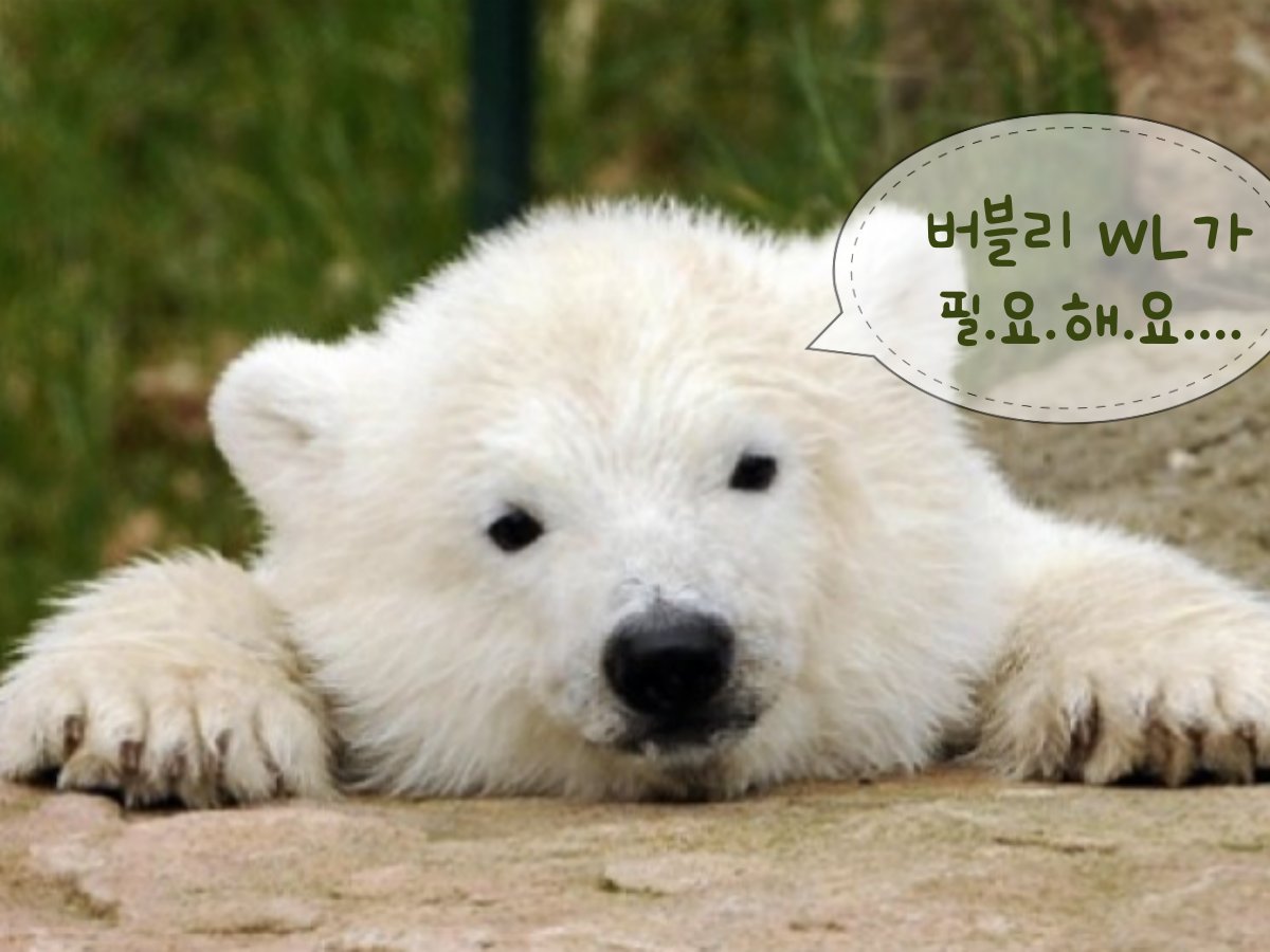 seheda2008's tweet photo. 퀴즈 우승자는 등수에 따라 포인트 겟!!!
@ProjectBubbly
#nft #bubblyproject #Bubbly #bnf
#버블리 #2차민팅 #projectbubbly https://t.co/Bp6wWhl5jo