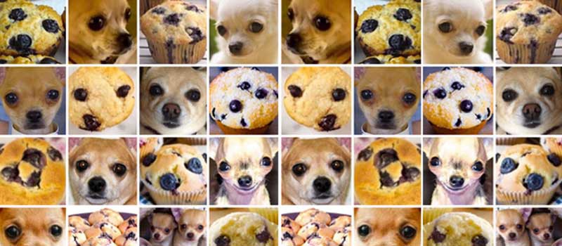 Grantscheam's tweet photo. Die CAPTCHAs werden immer schwieriger.
"Hund oder Keks" ? https://t.co/Kt2QSLPzyB