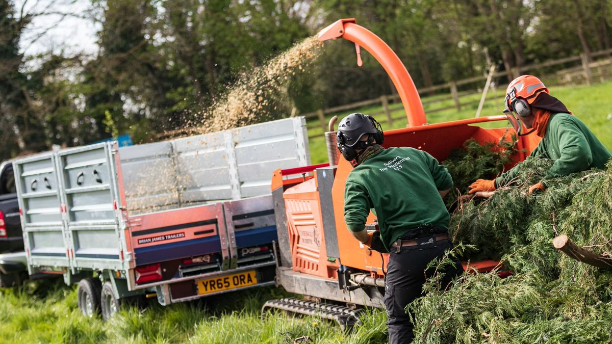 We’ve got plenty of Tipper Trailers in stock, roll away with yours now! 

For more info:
📲 DM us 
✉️enquiries@rhcv.co.uk 
☎️01636 555 899
👉 rhcv.co.uk/contact-us/ 

#brianjamestrailers #tippers #aggriculture #gardening #landscapegardeners #landscapedesign