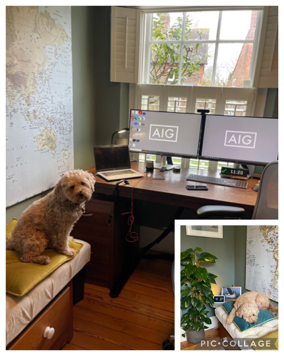 Mulberry is impressed that #SmartHealth is available to all new &amp; existing customers with an @AIGLifeUK policy!

🩺24/7 virtual GP
😇Mental Health support
👟Fitness plans 
🥦Nutrition 
✅ Health check
👨‍⚕️Best Doctor
#IWorkforAIG #MulberryDoesNot