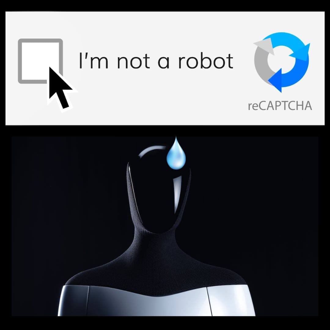 NzDefi/ Wife Changing calls tweet media