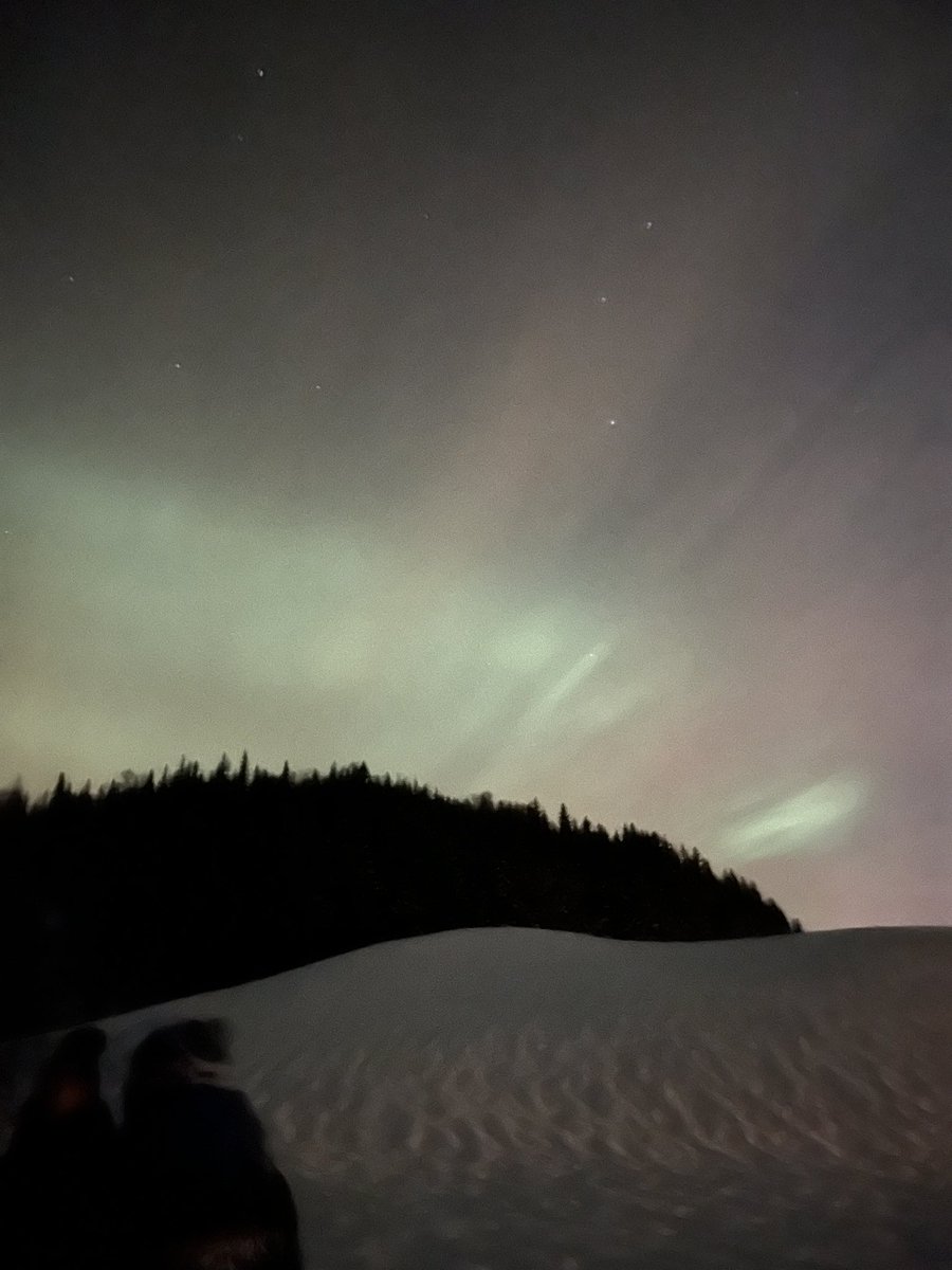 First day back at work after 5 days in Tromso. Hiking, boat trips, then fresh snow on our last day. Struggling being back indoors today!