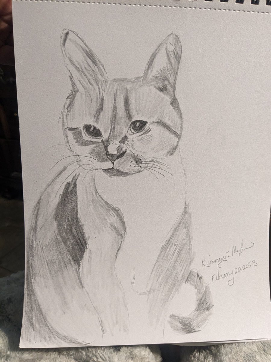 ArtistKimmary's tweet photo. Last night's art theme was pets, but the shares and conversation ranged from pets to food to world travel (one of our friends logged in from Dubai!), It was great!
Here's my quick cat sketch.

#sketch #art #cat #outschool #socialart #pencildrawing #ArtistOnTwitter https://t.co/uK3ROUUKb6