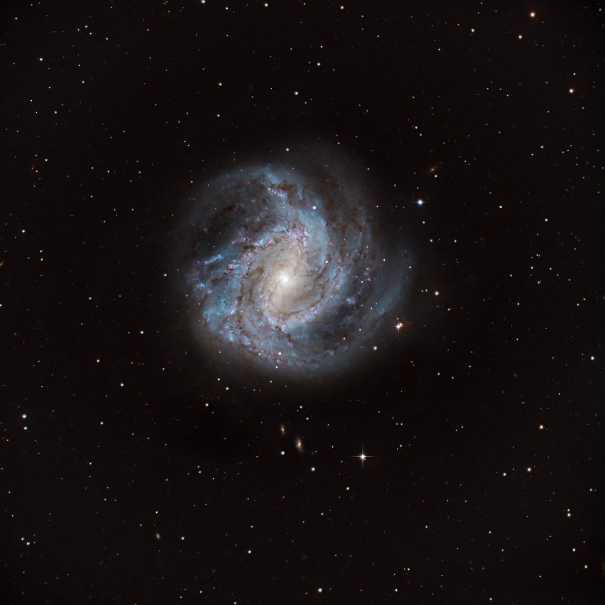 Another jewel of the southern skies. M83 aka Southern Pinwheel Galaxy. 
#astrophotography #spacephotography 
@Celestron EHD8”
@zwoasi 533MC Pro
@SkyWatcherUSA EQ6R