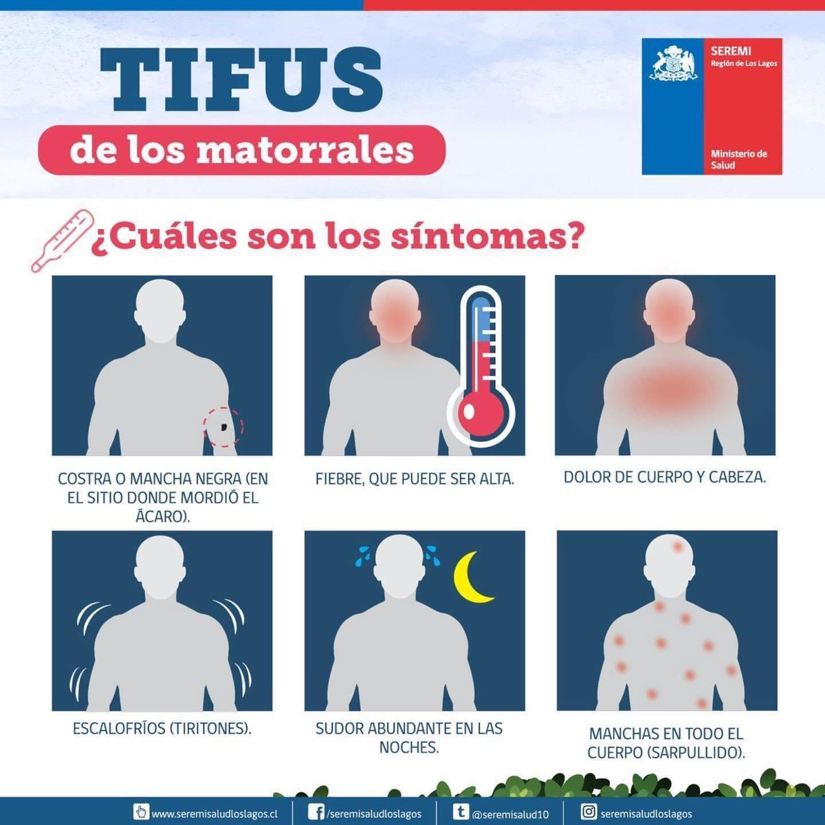 Clau tweet media