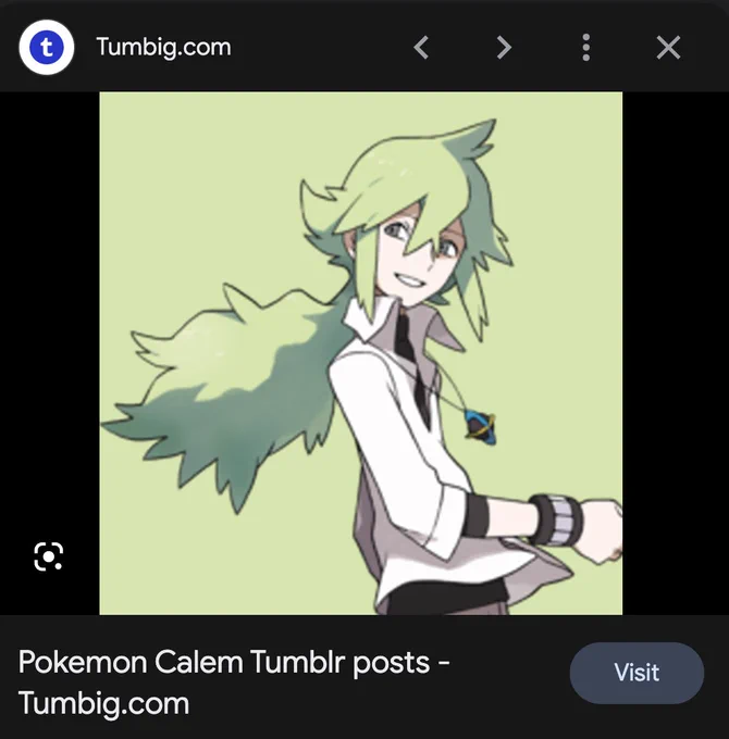 google i don't think that character is calem 