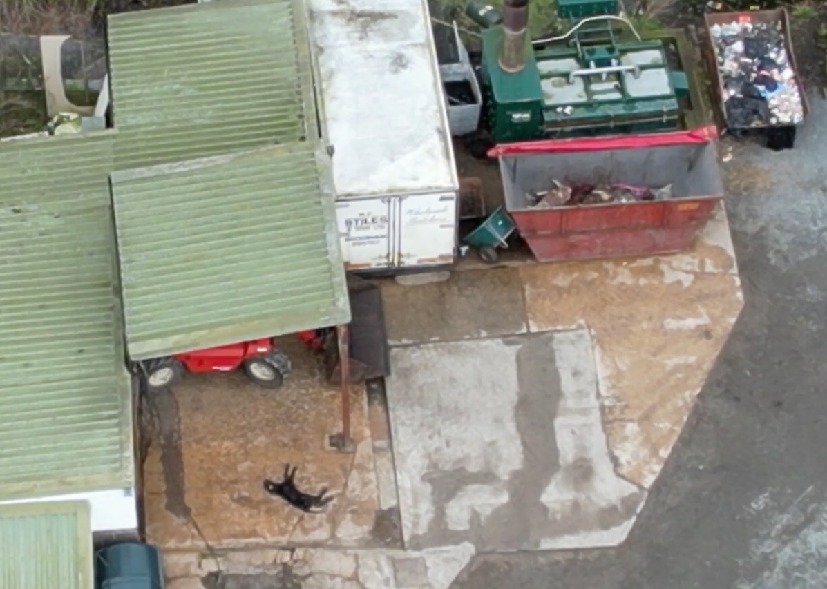 BathHuntSabs's tweet photo. Once again, the Avon Vale kennels at Spye Park are breaching biosecurity regulations. We filmed this yesterday. @WiltshireTS, since this is the Third time reporting this, what action will you take? 
Bins open to wildlife, bodies rotting in them. Carcasses on the floor etc. Vile. https://t.co/VejjjXRd3u