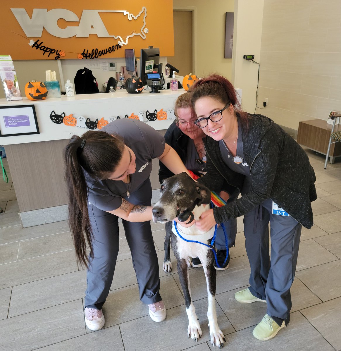therealcarling's tweet photo. @Kaxan_KXAN Congratulations little man!! We love the VCA Capitol Area Specialists!! Bernard is living his best life thanks to their incredible work ❤️ wishing you all the softest snuggles and tastiest snacks ❤️ 🐾 https://t.co/Up1W9SaEC6