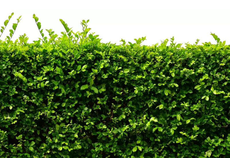 Jim McQuaid 🇺🇦 🇪🇺 tweet media