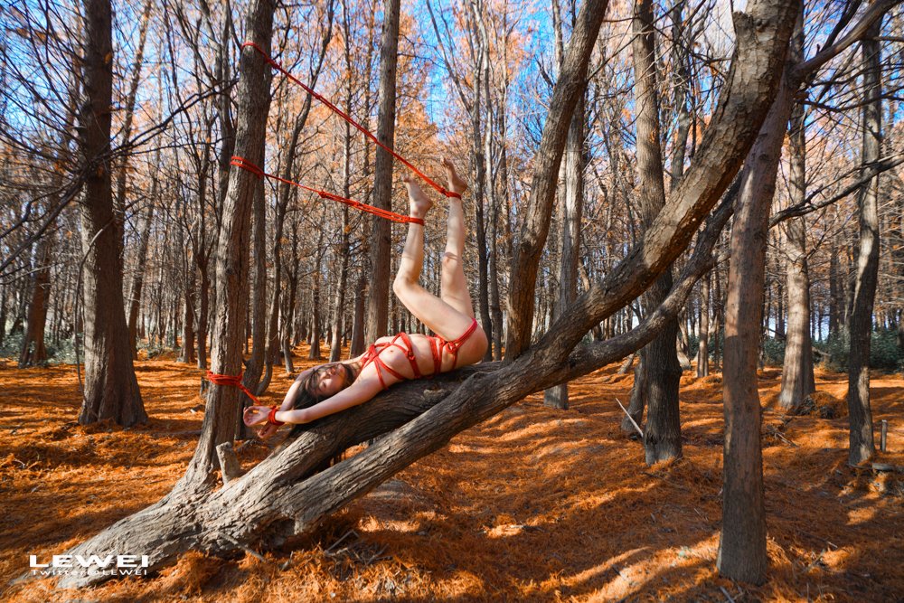 大理红杉2~
#LEWEI #Shibari  #BabyArt #ChinaBondage #ChinaArt #Bondage #废墟捆绑
各类主题创作拍摄欢迎私我约拍～
投稿：
@Fengsiyuan
@tbzt3623
@wqganenshi_ https://t.co/LwsqACUmDE