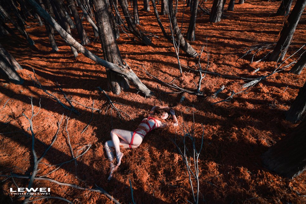 大理红杉2~
#LEWEI #Shibari  #BabyArt #ChinaBondage #ChinaArt #Bondage #废墟捆绑
各类主题创作拍摄欢迎私我约拍～
投稿：
@Fengsiyuan
@tbzt3623
@wqganenshi_ https://t.co/LwsqACUmDE