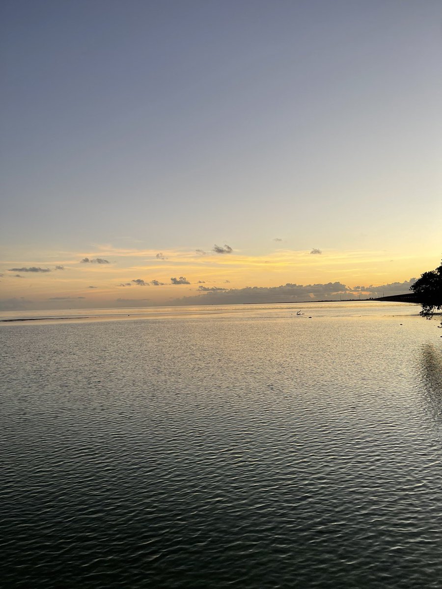 Today’s classroom!😎☀️Pigeon Key Marine science Research Center for the win! Thank you Jani Chollman. These 17 students are going to have a blast!