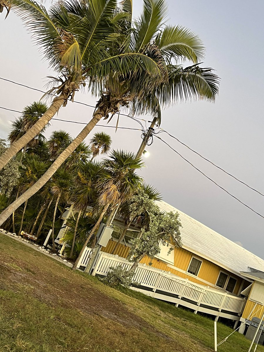 klee1530's tweet photo. Today’s classroom!😎☀️Pigeon Key Marine science Research Center for the win! Thank you Jani Chollman. These 17 students are going to have a blast! https://t.co/0ALtoqooH5