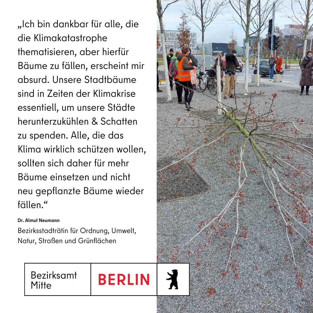 Bezirksamt Mitte tweet media