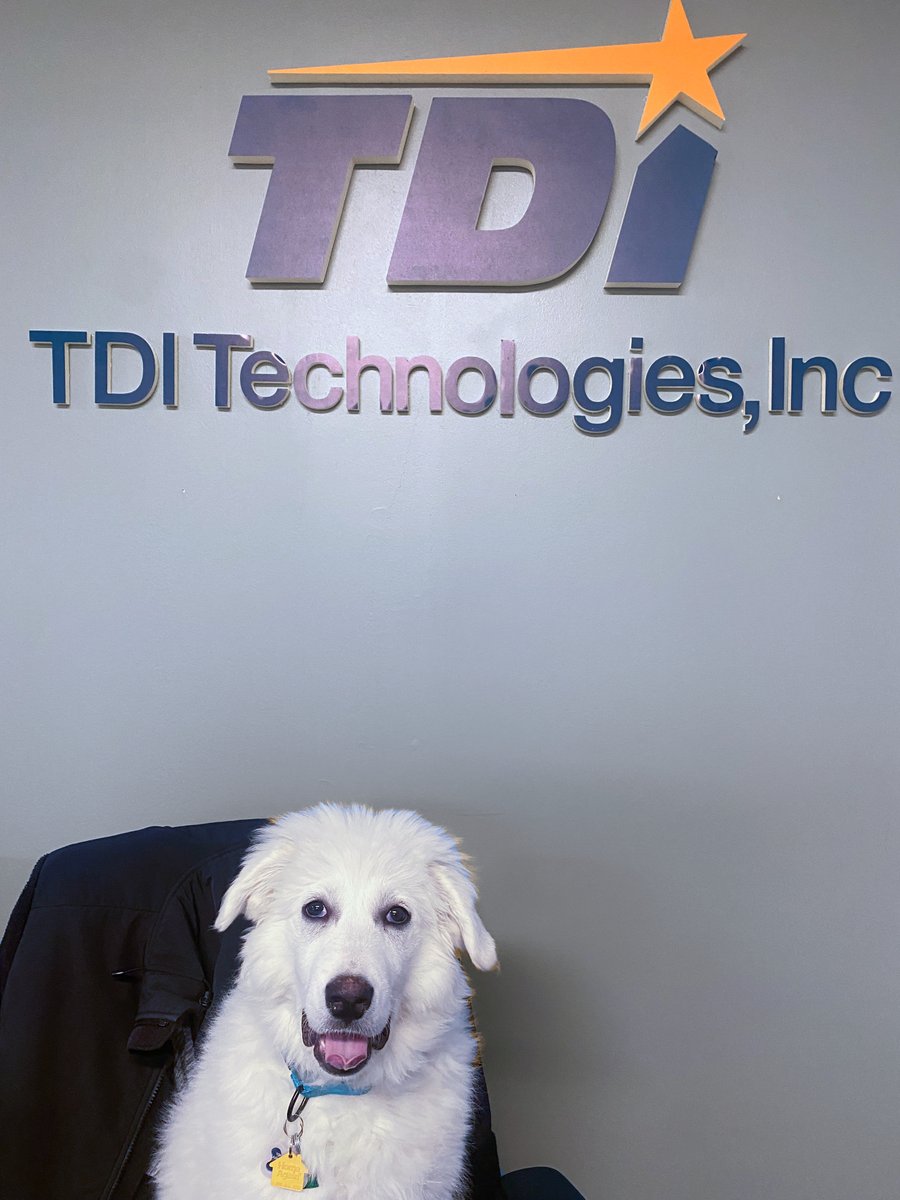 tditek's tweet image. Here is Coquito, a Great Pyrenees owned by Shari Lawrence. Coquito seems happy in her seat. At a mere 37 lbs at 16 wks old, she will get big! Much like Coquito, we anticipate bigger and brighter things in TDI&apos;s future.  #worthwhilework #engineering #developers #phlnavyyardjobs