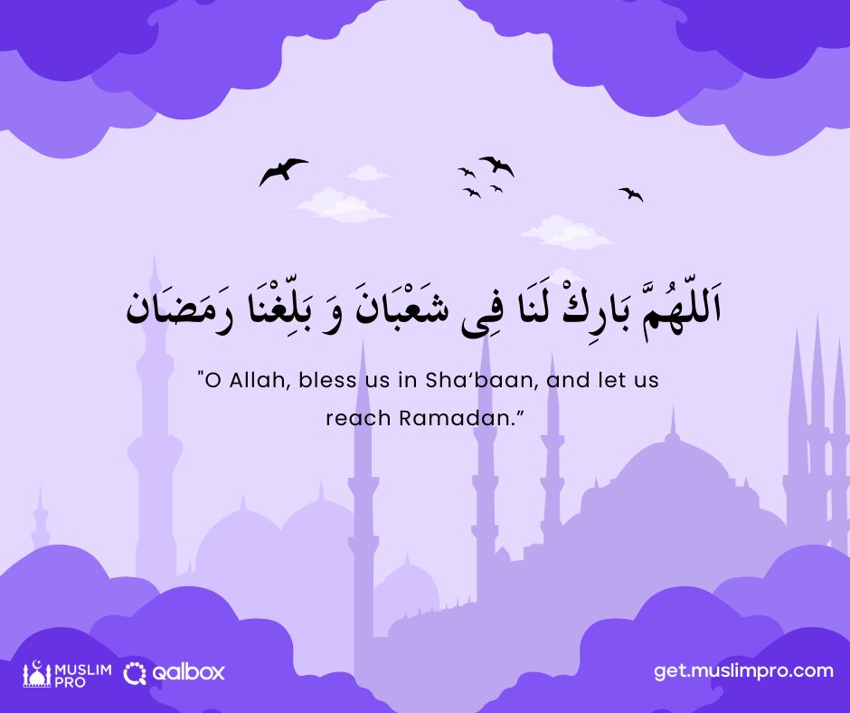 MuslimPro's tweet photo. May Allah bless us on this first night of Syaaban. ✨🤲🏼🤍
#muslimpro #qalbox #muslim #muslimlives #muslimknowledge #muslimdoa https://t.co/Gc1hIggICW