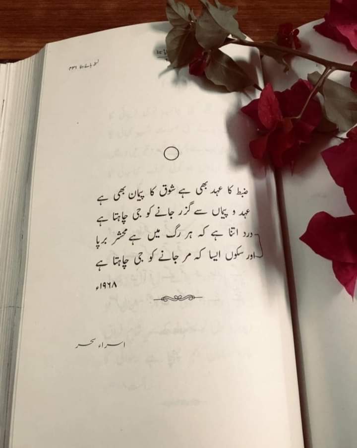 Khanoo174's tweet photo. 🥀🍂 https://t.co/8pWDMM2UjA