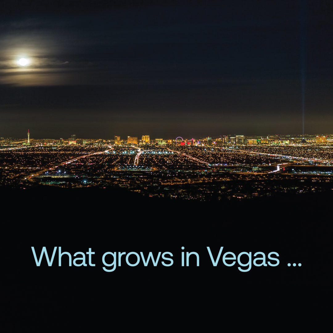 currenthort's tweet photo. Excited to exhibit at the 10th anniversary of #IndoorAgCon, the largest indoor agriculture trade show in the USA! Visit us at booth 720 in Las Vegas on Feb 27th &amp; 28th. #Current #IndoorAgCon #AgricultureInnovation #IndoorAgCon #Current #LasVegas #Agriculture @indooragcon https://t.co/KjSwXboyxL