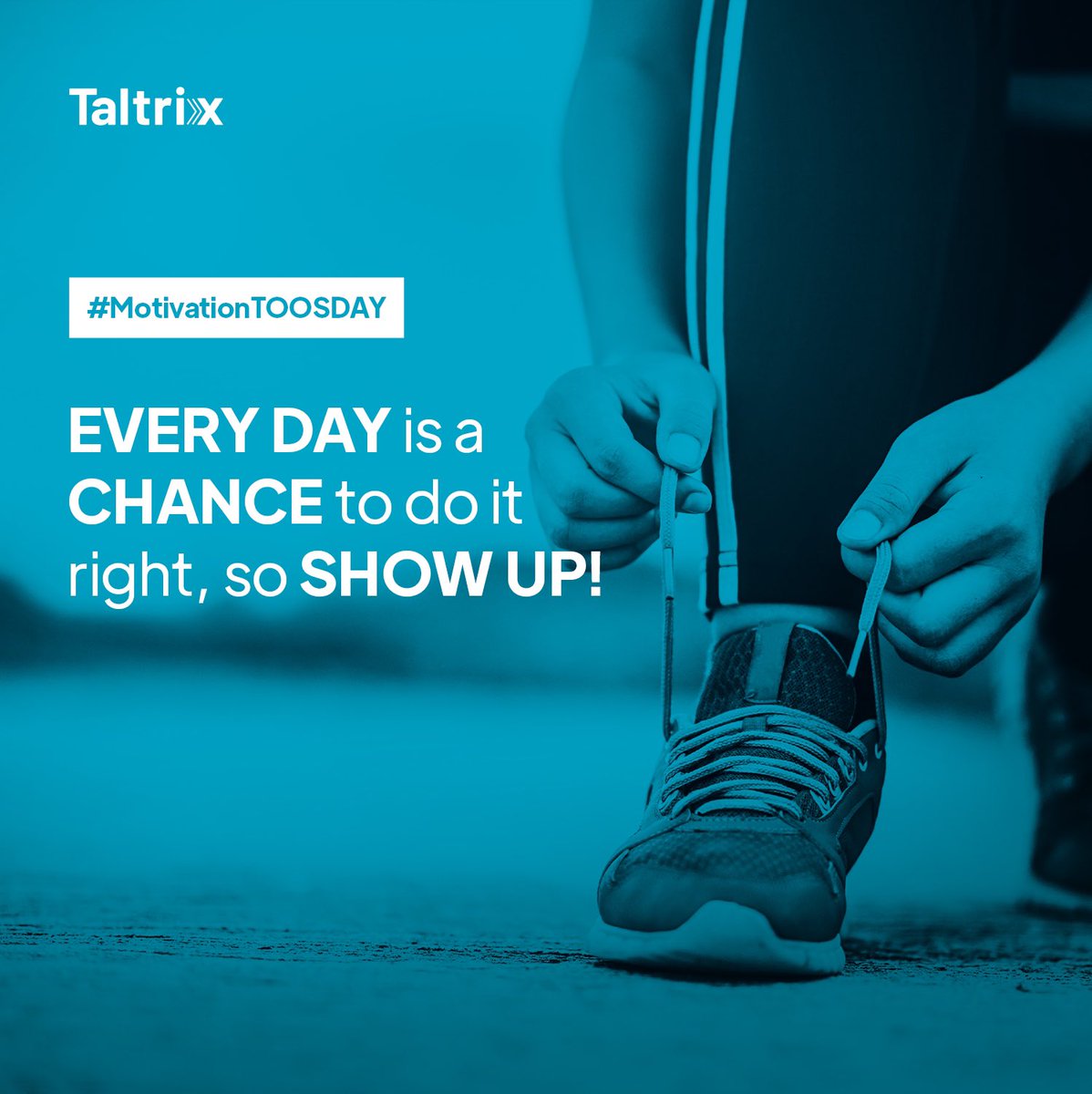 Taltrix tweet media