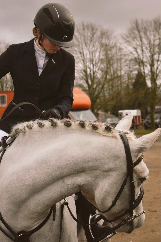 Sed_Equestrian's tweet photo. Cilla (the pony) is back enjoying the party #GoElsie #youngster #smart #sohappy https://t.co/rknFqdadi9
