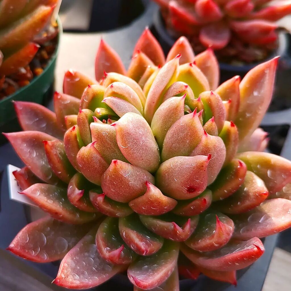 sunny spot (@HMayo1201) / Posts / X